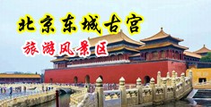 黄色透逼免费看中国北京-东城古宫旅游风景区